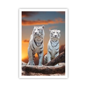 Affiche - Poster - Tout comme à Narnia - 70x100 cm