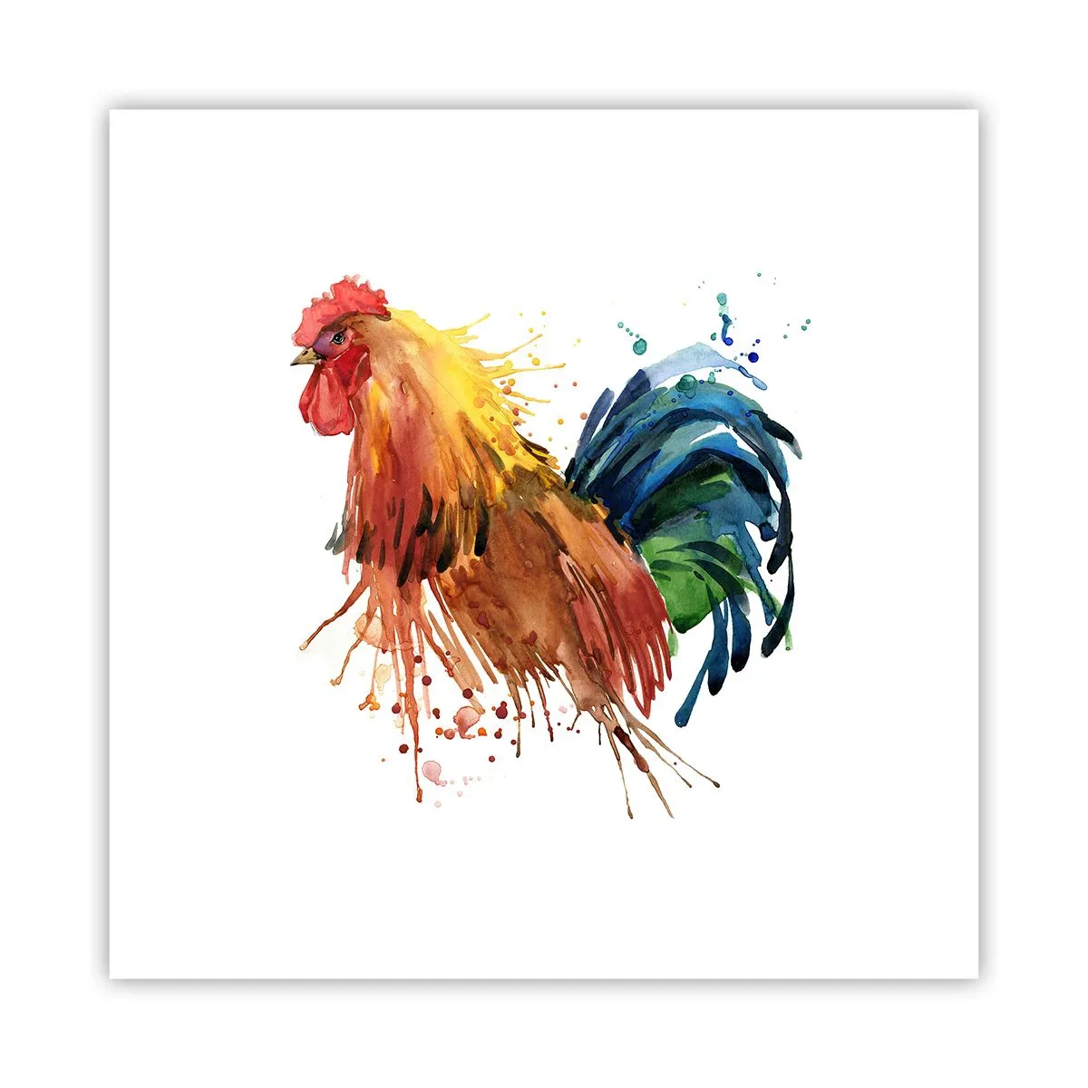 Affiche - Poster - Robe royale, fierté royale - 30x30 cm