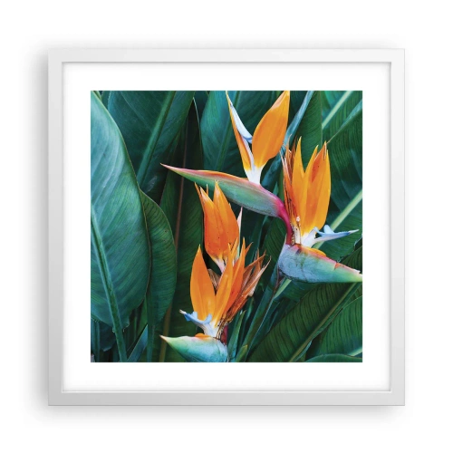 Affiche dans un cadre blanc - Poster - Est-ce une fleur, est-ce un oiseaux? - 40x40 cm