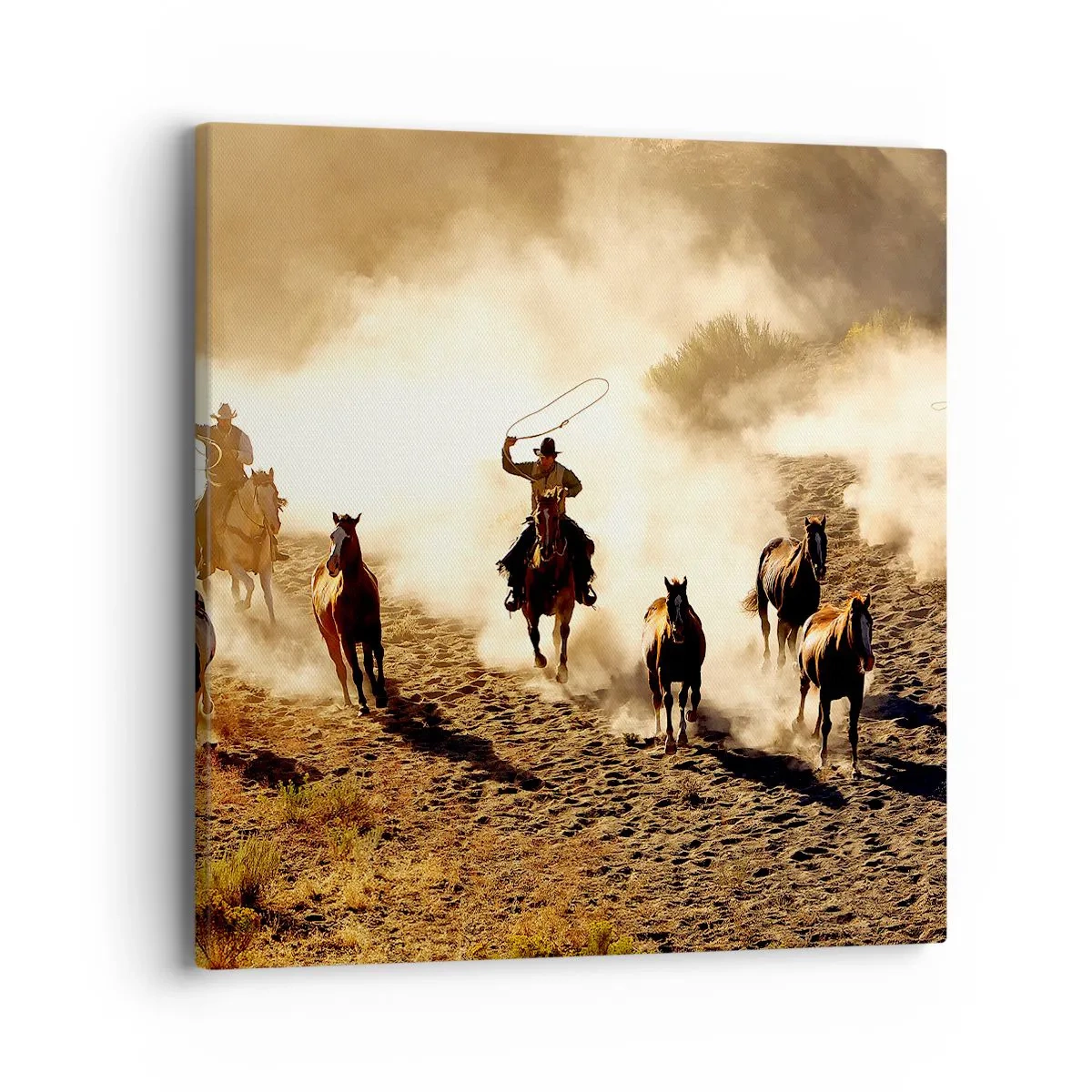 Impression sur toile - Image sur toile - L'ouest vraiment sauvage - 40x40 cm