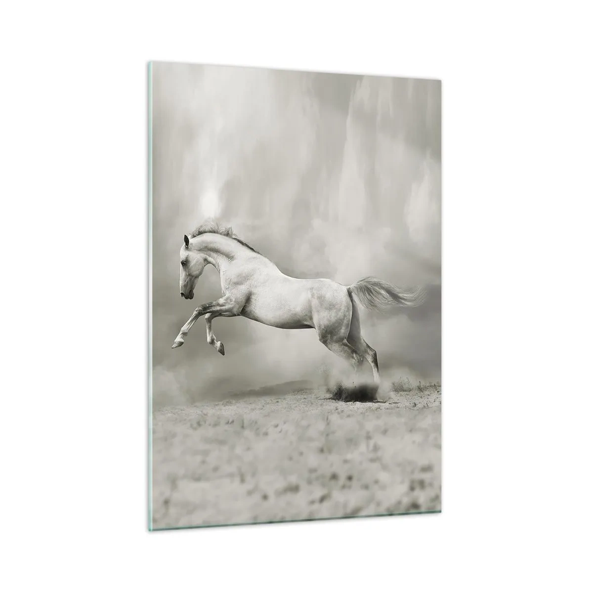 Impression sur verre - Image sur verre - Un cheval blanc sautant contre les nuages - 50x70cm - Entre le réveil et le sommeil - Décoration murale moderne pour le salon et la chambre ARTTOR