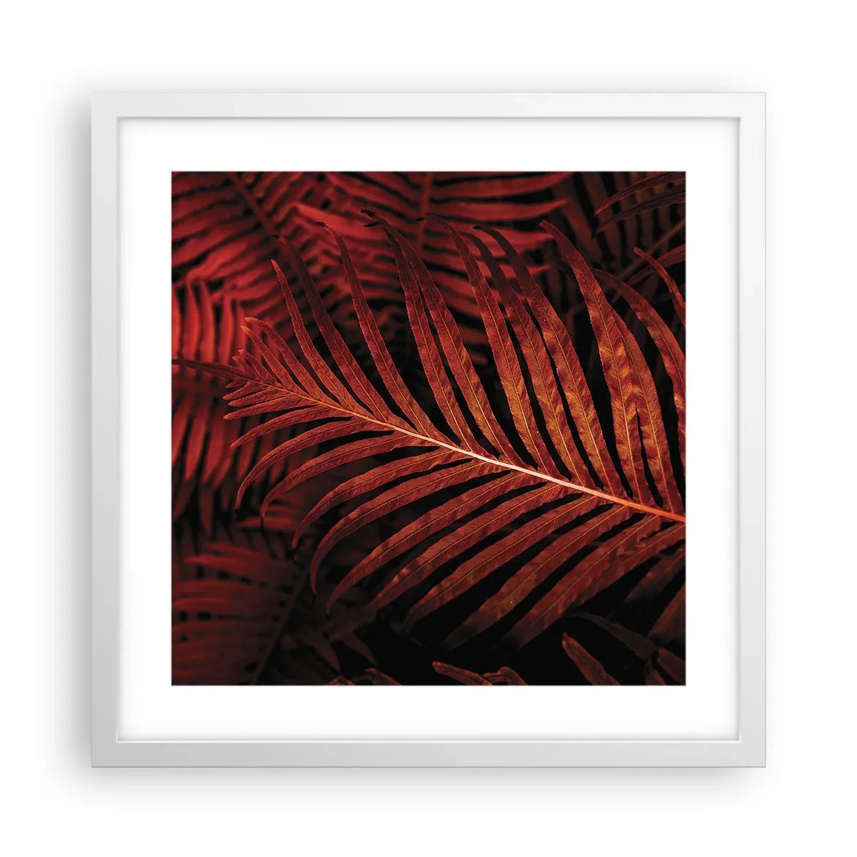 Affiche dans un cadre blanc - Poster - Chaleur de la vie - 40x40 cm