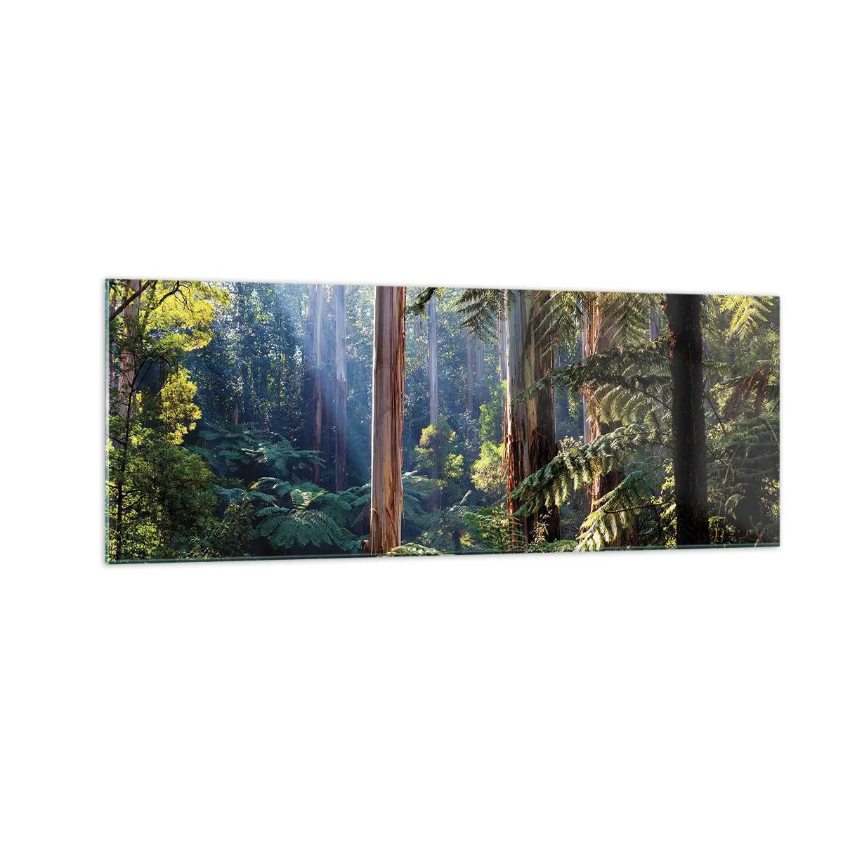 Impression sur verre - Image sur verre - Forêt tropicale illuminée par les rayons du soleil - 140x50cm - Fable de la forêt - Décoration murale moderne pour le salon et la chambre ARTTOR