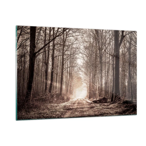 Impression sur verre - Image sur verre - Route forestière dans le brouillard matinal - 120x80cm - Cathédrale de la forêt - Décoration murale moderne pour le salon et la chambre ARTTOR