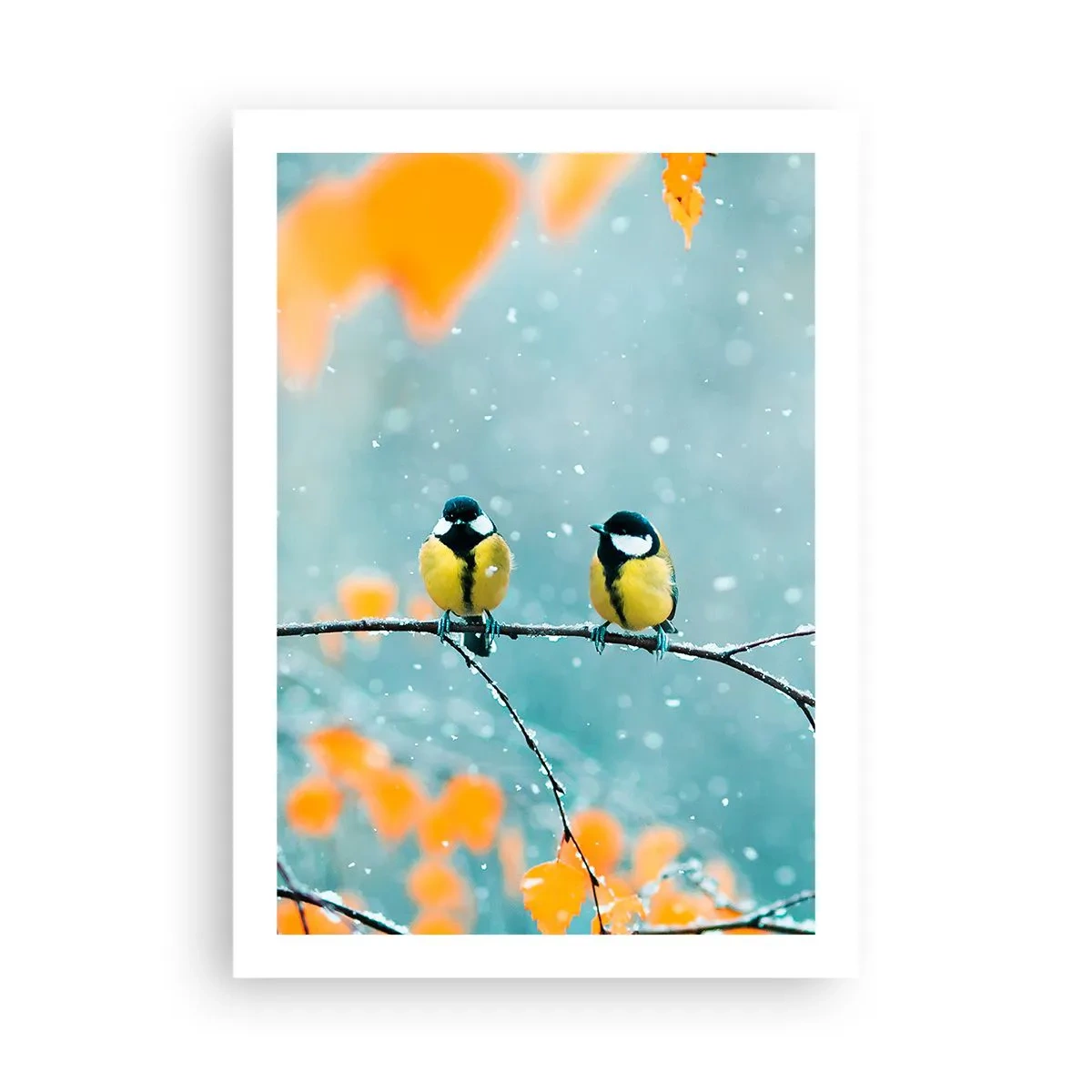 Affiche - Poster - Deux mésanges assises sur une branche dans un paysage hivernal - 50x70cm - Potins d'oiseaux - Décoration murale moderne pour le salon et la chambre ARTTOR