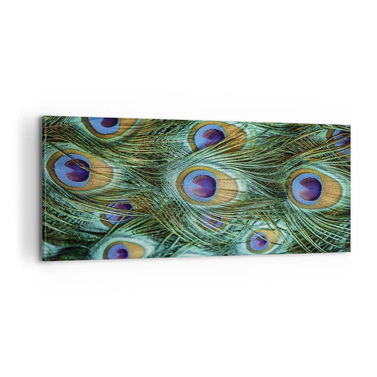Impression sur toile - Image sur toile - Un regard de paon - 100x40 cm