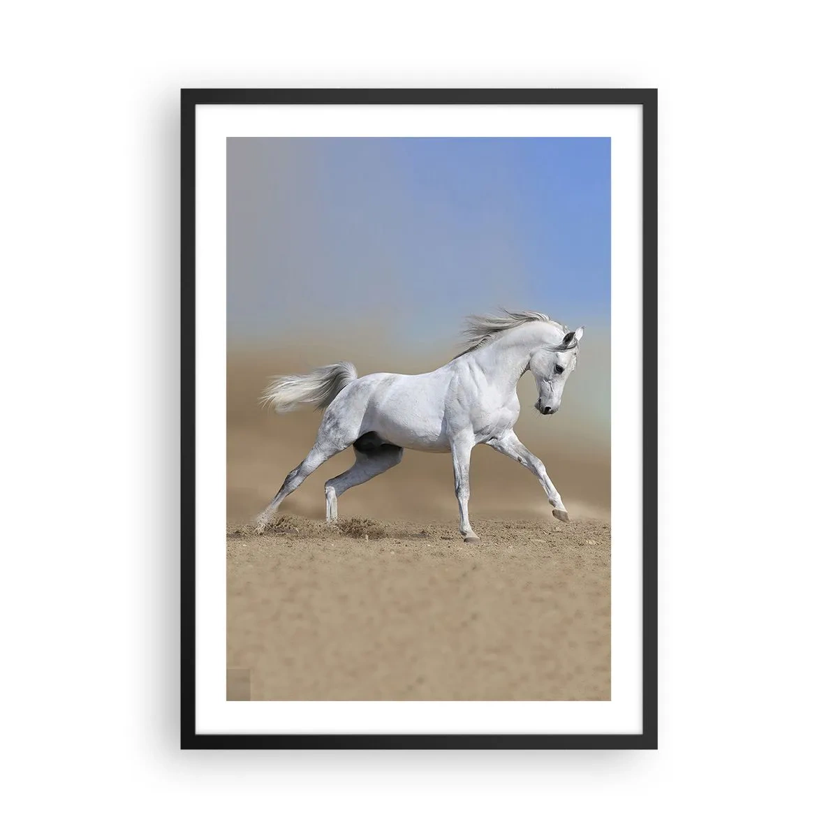 Affiche dans un cadre noir - Poster - Un cheval blanc galopant sur un fond de désert - 50x70cm - Le plus beau conte de fées arabe - Décoration murale moderne pour le salon et la chambre ARTTOR