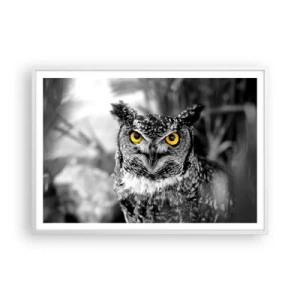 Affiche dans un cadre blanc - Poster - Rien ne se cachera - 100x70 cm