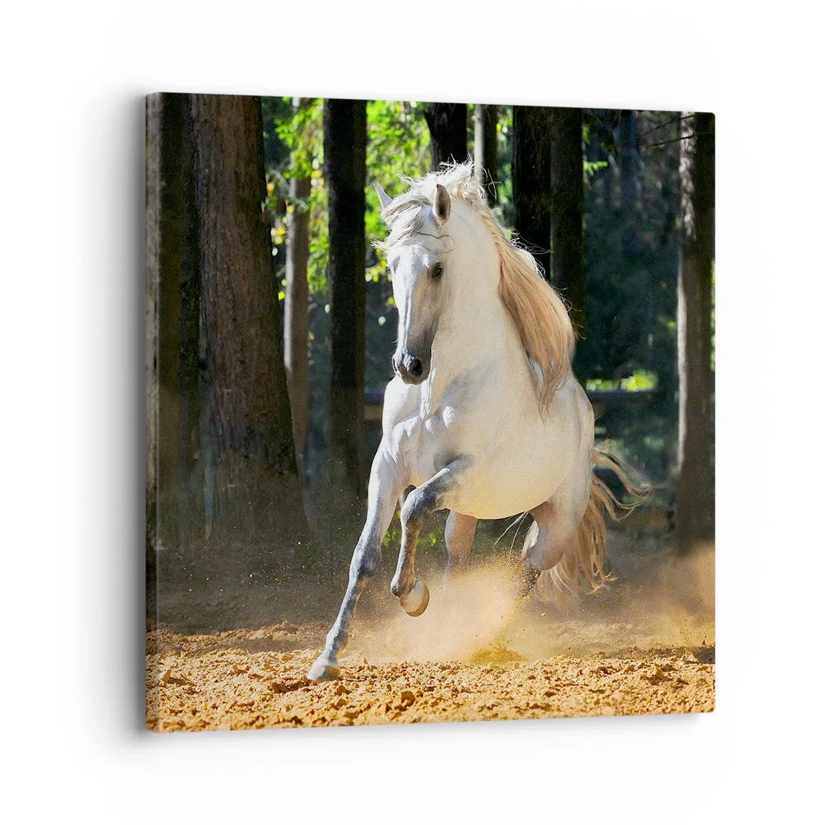 Impression sur toile - Image sur toile - Comme dans un roman fantastique - 30x30 cm