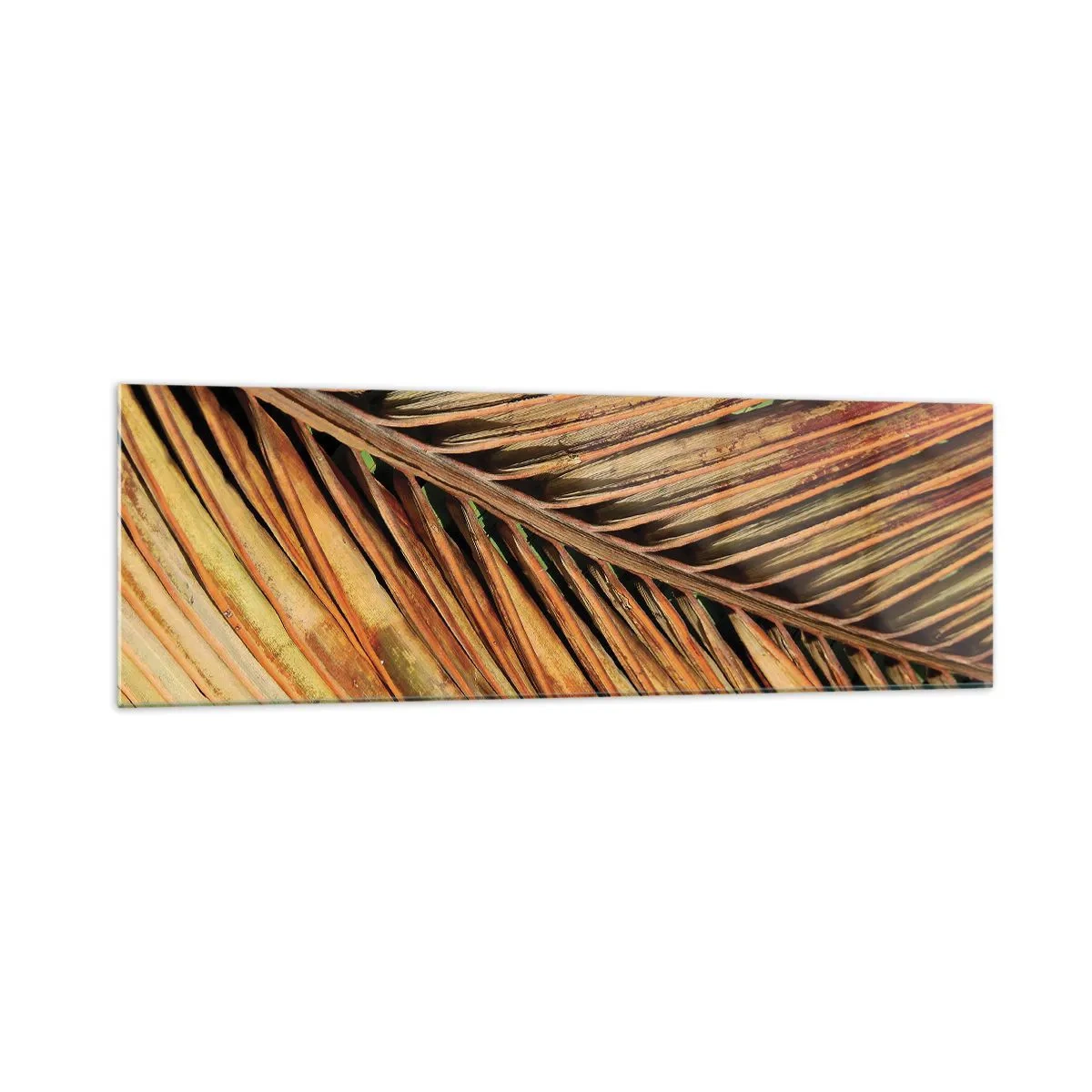 Impression sur verre - Image sur verre - Gros plan d'une feuille de palmier sèche aux tons chauds - 160x50cm - Or de noix de coco - Décoration murale moderne pour le salon et la chambre ARTTOR