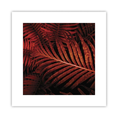 Affiche - Poster - Chaleur de la vie - 30x30 cm