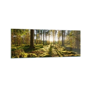Impression sur verre - Image sur verre - Forêt verte illuminée par la lumière du soleil sur la mousse - 140x50cm - … Derrière les sept forêts - Décoration murale moderne pour le salon et la chambre ARTTOR