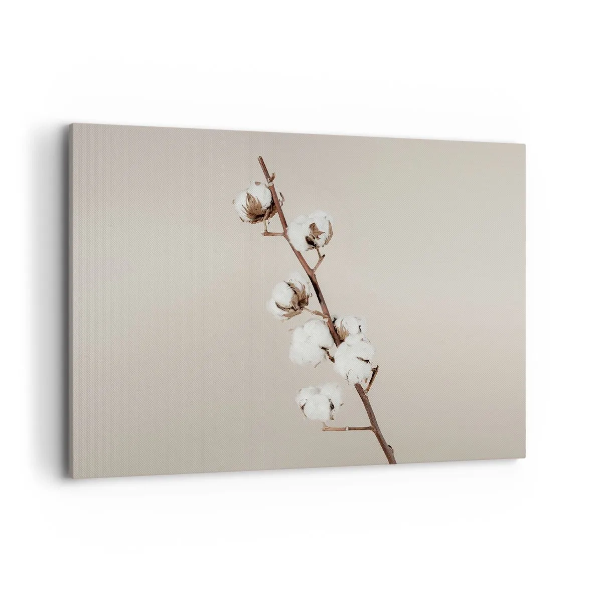 Impression sur toile - Image sur toile - Un brin de coton sur fond beige - 100x70cm - A la source de la douceur - Décoration murale moderne pour le salon et la chambre ARTTOR