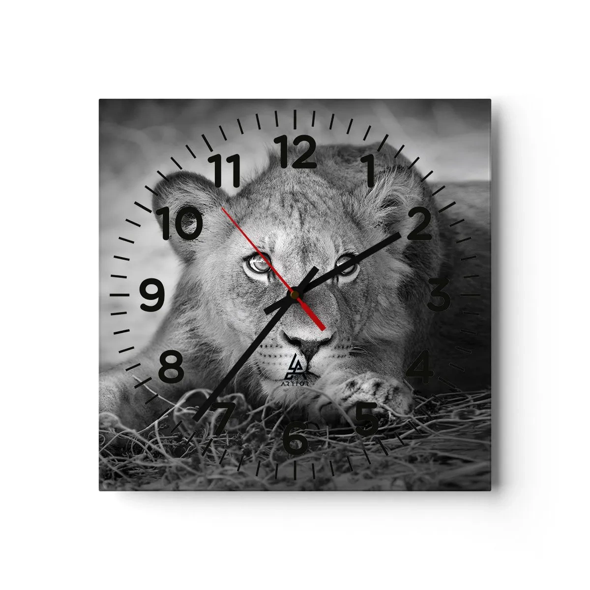 Horloge murale - Pendule murale - Chiot royal - 30x30 cm