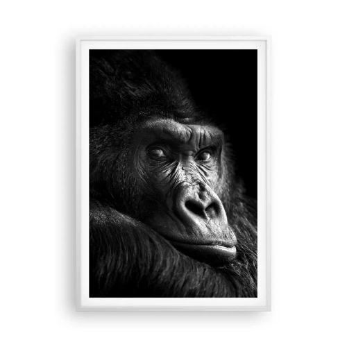 Affiche dans un cadre blanc - Poster - Et qu'est-ce que tu regardes? - 70x100 cm