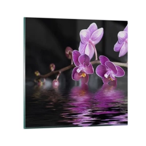 Impression sur verre - Image sur verre - Reflet lilas de la beauté - 30x30 cm