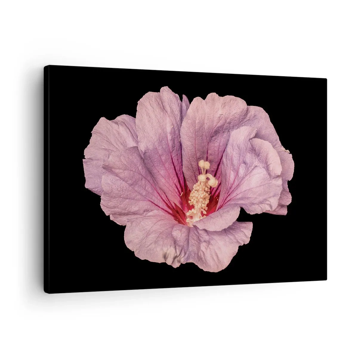 Impression sur toile - Image sur toile - Fleur rose sur fond noir - 70x50cm - Directement au coeur - Décoration murale moderne pour le salon et la chambre ARTTOR