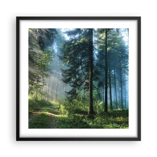 Affiche dans un cadre noir - Poster - Rayonnant le matin - 50x50 cm
