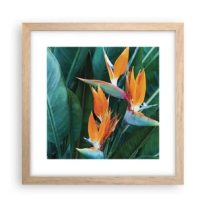 Affiche dans un chêne clair - Poster - Est-ce une fleur, est-ce un oiseaux? - 30x30 cm
