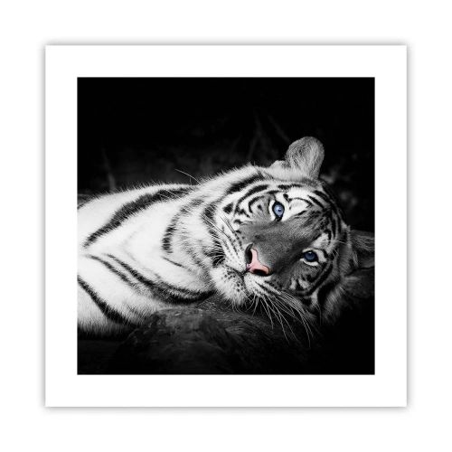 Affiche - Poster - Sauvagerie et paix - 40x40 cm