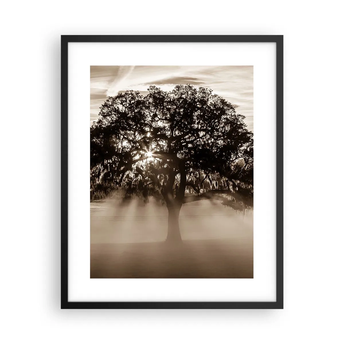 Affiche dans un cadre noir - Poster - Arbre de bonnes nouvelles - 40x50 cm