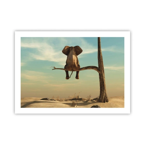 Affiche - Poster - Nouveau point de vue - 70x50 cm