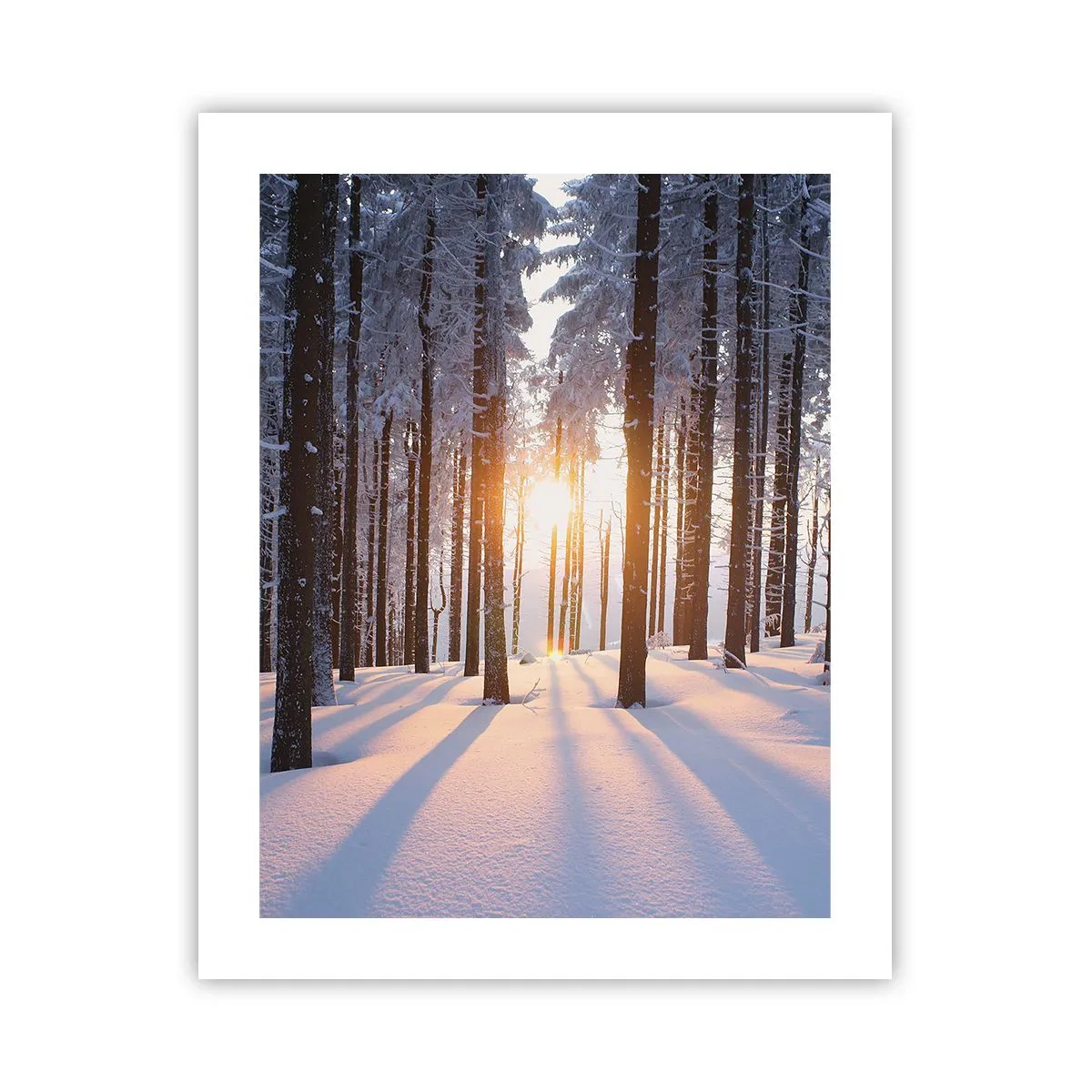 Affiche - Poster - Clairement en noir et blanc - 40x50 cm