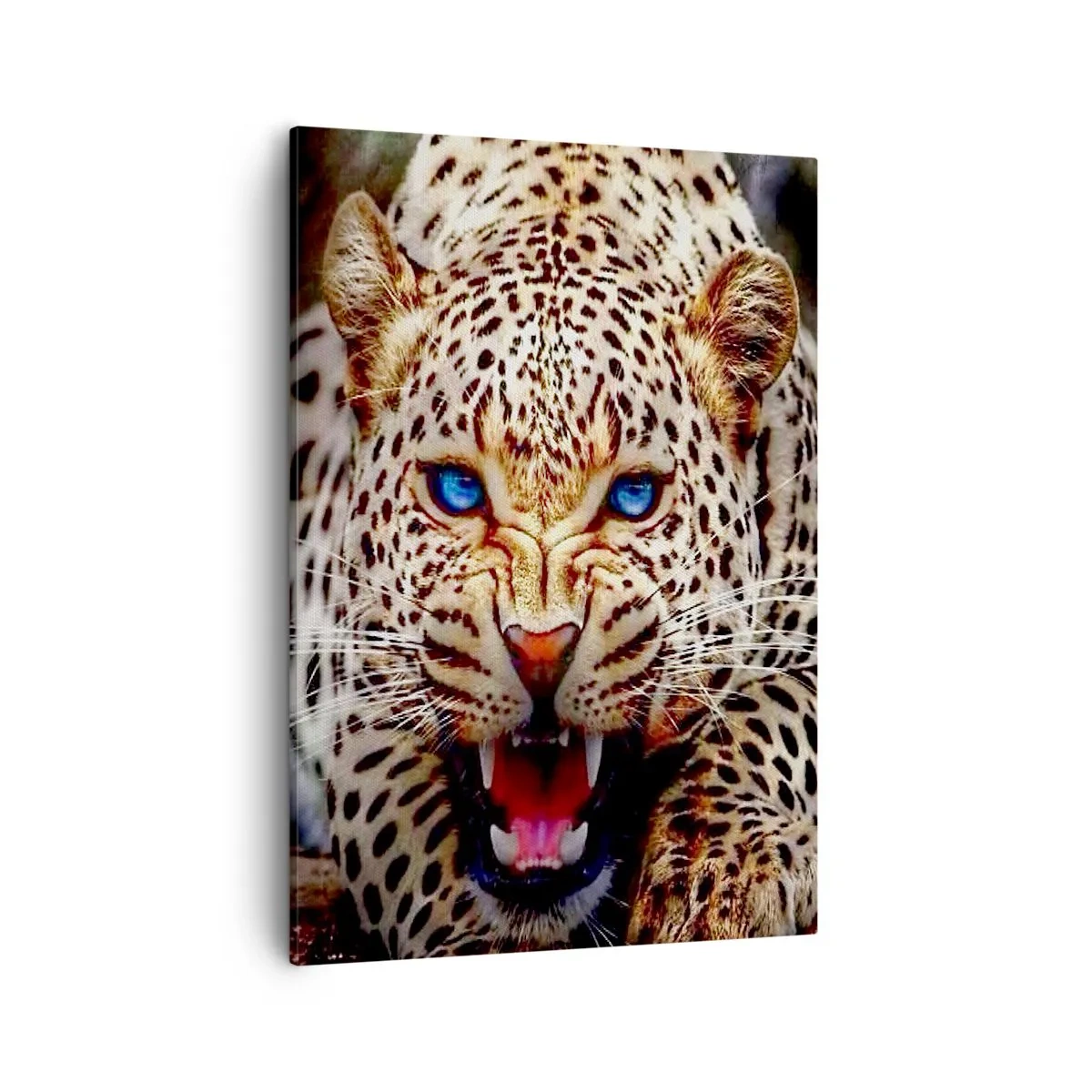 Impression sur toile - Image sur toile - Un léopard menaçant aux yeux bleus intenses - 50x70cm - La colère de la beauté ne fait pas de mal - Décoration murale moderne pour le salon et la chambre ARTTOR