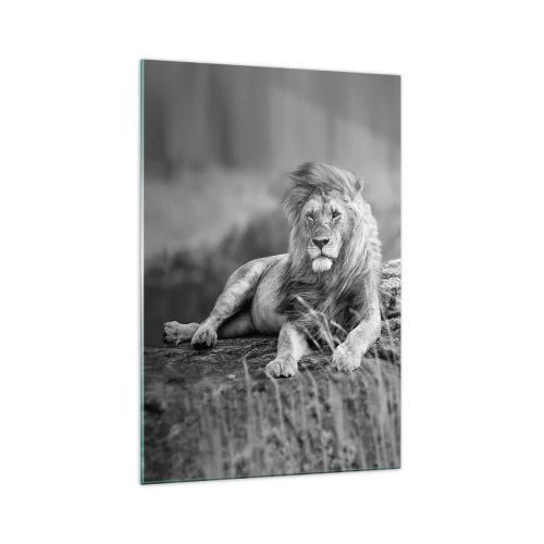 Impression sur verre - Image sur verre - Lion reposant sur un rocher dans un style monochrome - 70x100cm - Sieste royale - Décoration murale moderne pour le salon et la chambre ARTTOR