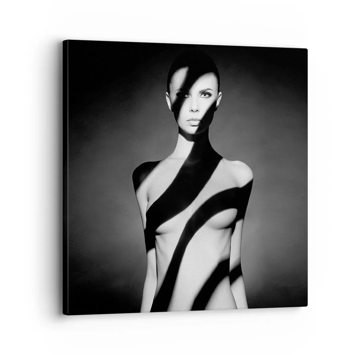 Impression sur toile - Image sur toile - Dans la brillance et l'ombre - 30x30 cm