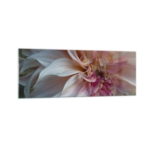 Impression sur verre - Image sur verre - Gros plan de délicats pétales de fleurs roses avec des gouttes d'eau - 140x50cm - Fraîcheur fleurissante - Décoration murale moderne pour le salon et la chambre ARTTOR