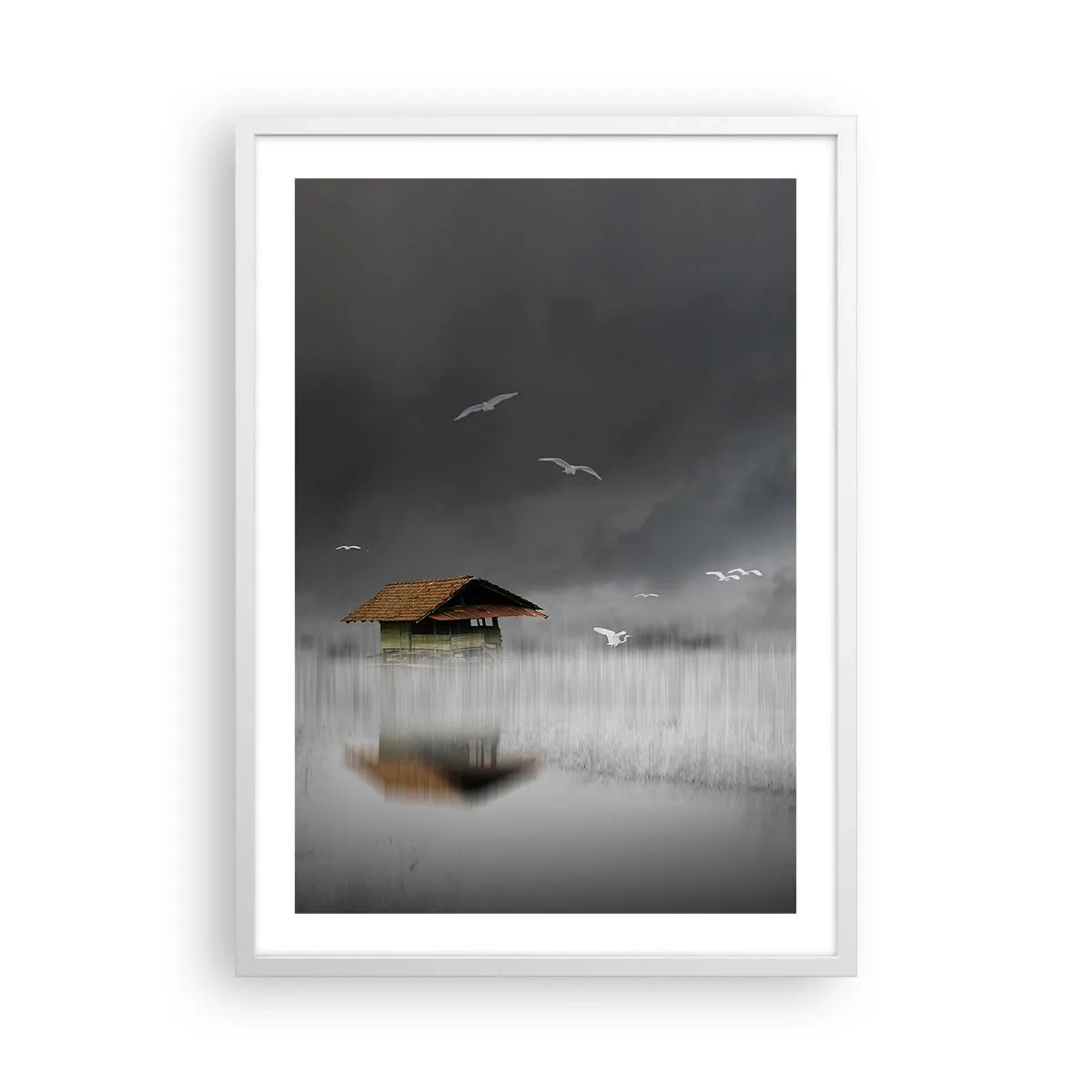 Affiche dans un cadre blanc - Poster - A l'abri de la pluie - 50x70 cm