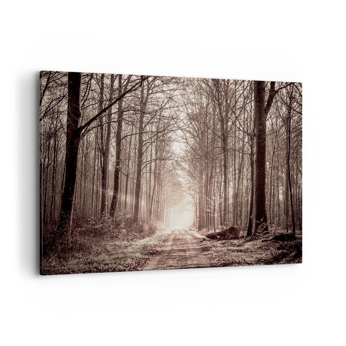 Impression sur toile - Image sur toile - Un chemin forestier parmi des arbres aux tons sépia - 120x80cm - Cathédrale de la forêt - Décoration murale moderne pour le salon et la chambre ARTTOR