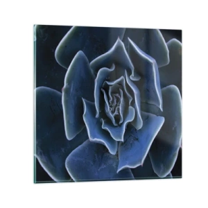 Impression sur verre - Image sur verre - Fleur du désert - 60x60 cm