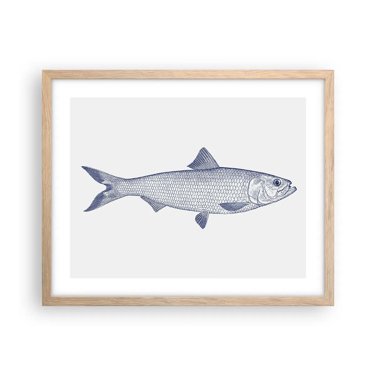 Affiche dans un chêne clair - Poster - Salutations des mers du nord - 50x40 cm