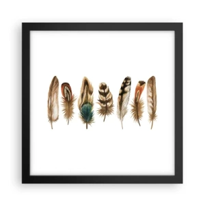 Affiche dans un cadre noir - Poster - Variation à plumes - 30x30 cm