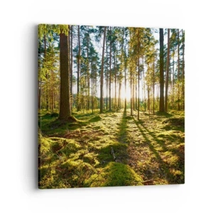 Impression sur toile - Image sur toile - … Derrière les sept forêts - 40x40 cm