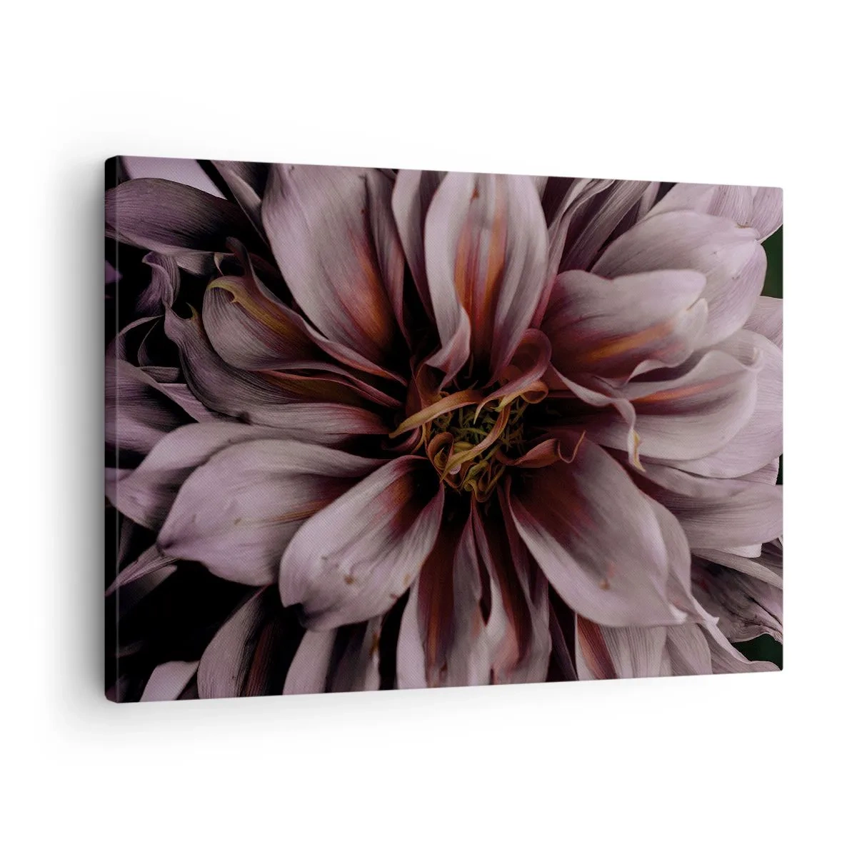 Impression sur toile - Image sur toile - Un coeur fleuri - 70x50 cm