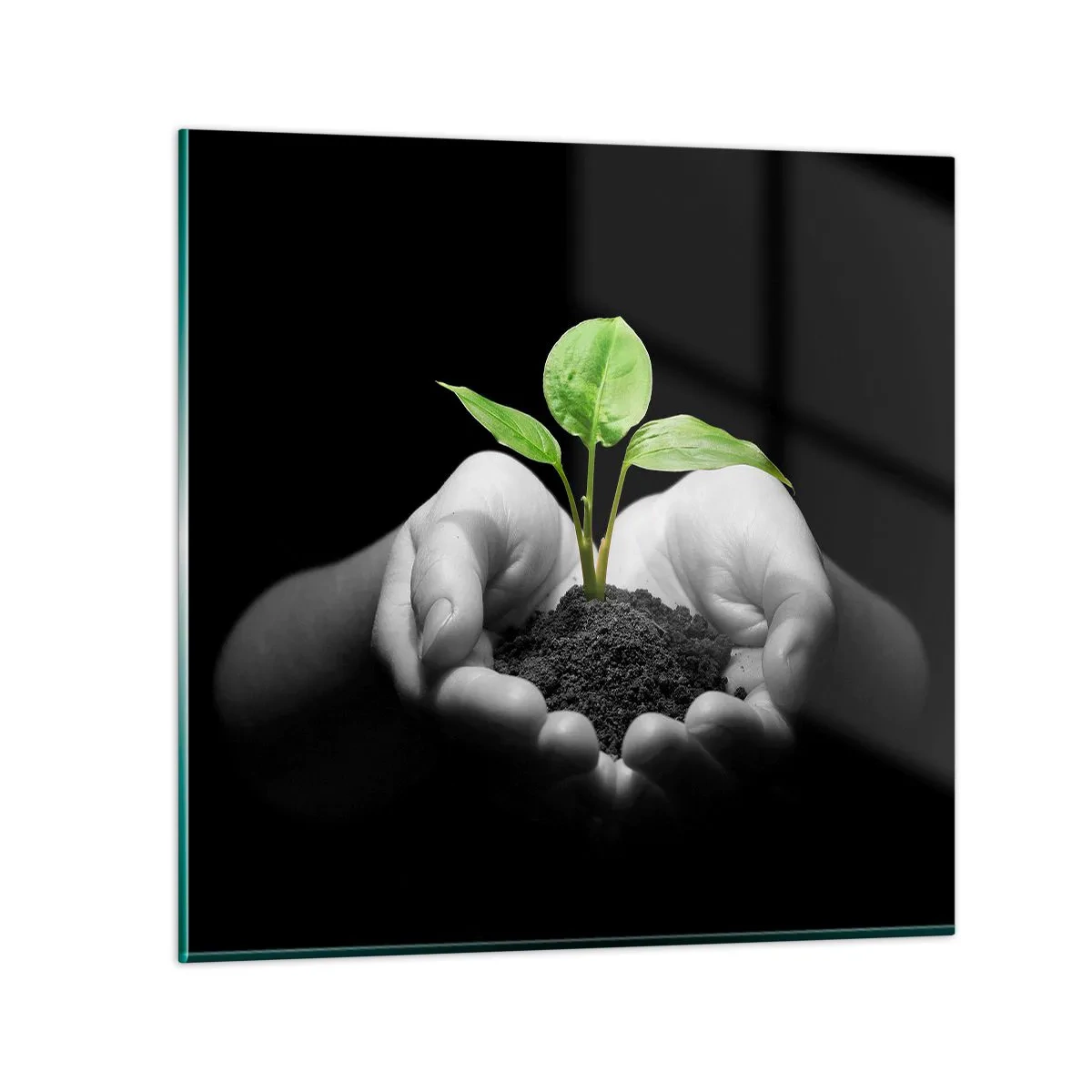 Impression sur verre - Image sur verre - J'aime la nature, je la protège - 40x40 cm