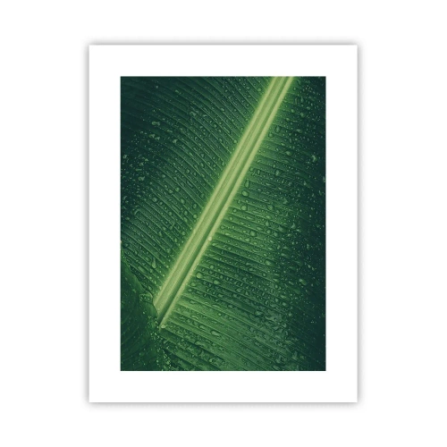 Affiche - Poster - Structure de vert - 30x40 cm