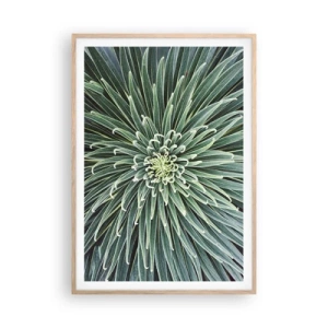 Affiche dans un chêne clair - Poster - Naissance d'une étoile - 70x100 cm