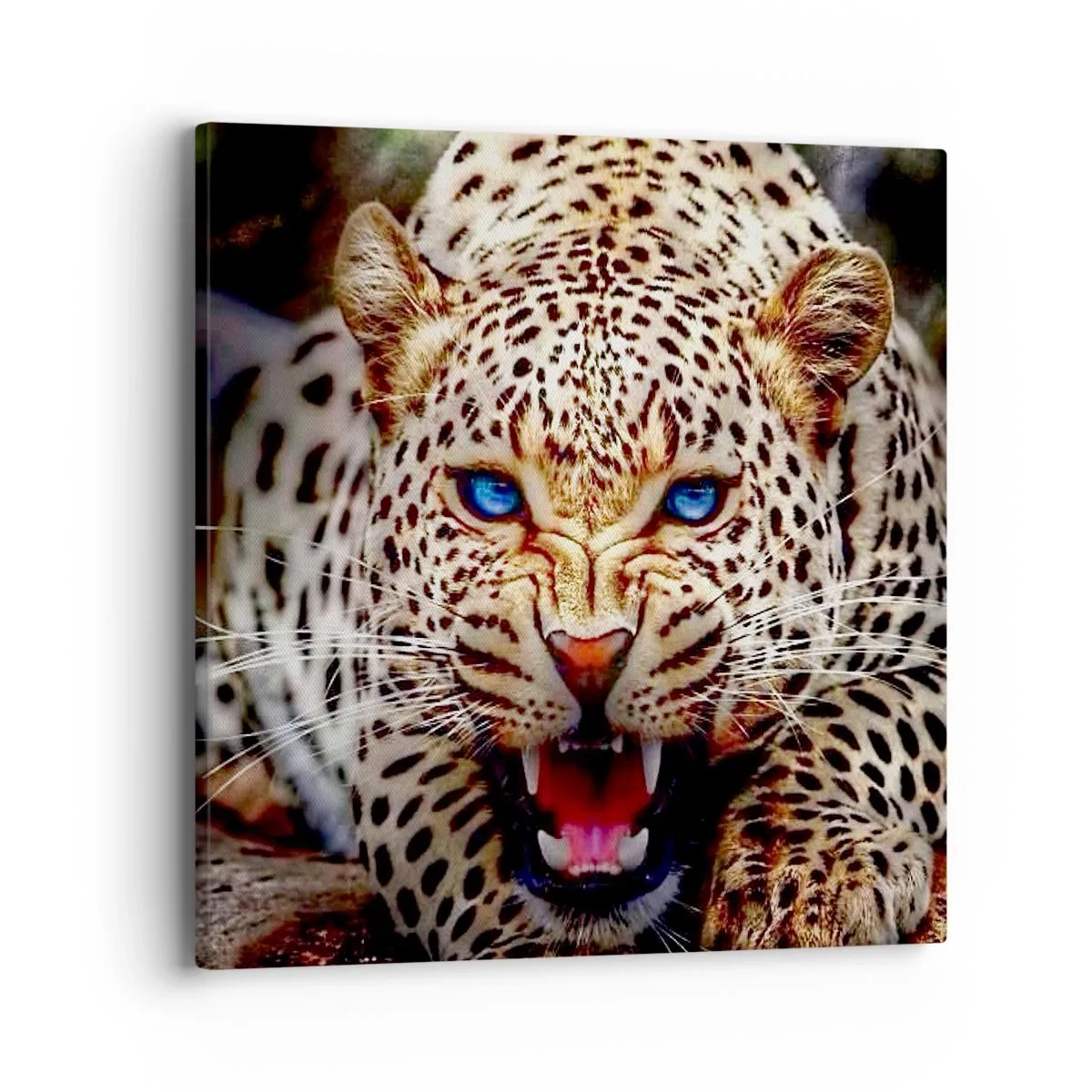 Impression sur toile - Image sur toile - La colère de la beauté ne fait pas de mal - 40x40 cm