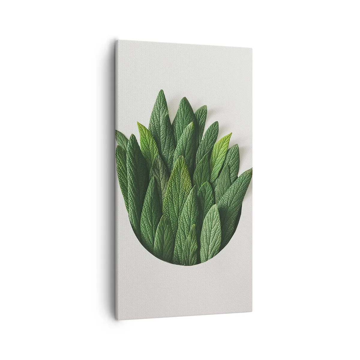 Impression sur toile - Image sur toile - Curiosité sans retenue - 55x100 cm