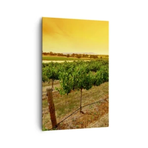 Impression sur toile - Image sur toile - Vignes dans une plantation au coucher du soleil doré - 80x120cm - S'abreuver du soleil - Décoration murale moderne pour le salon et la chambre ARTTOR