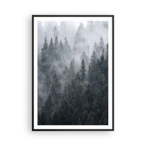 Affiche dans un cadre noir - Poster - Aube de la forêt - 70x100 cm