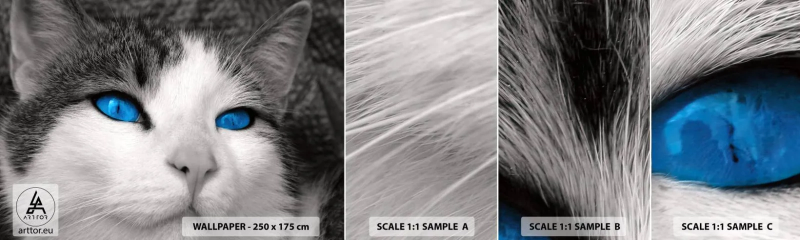 Échantillon de Papier Peint Autocollant Deluxe Sticker - Yeux bleus inhabituels - Animaux, Chat, Yeux bleus - 100x30 cm
