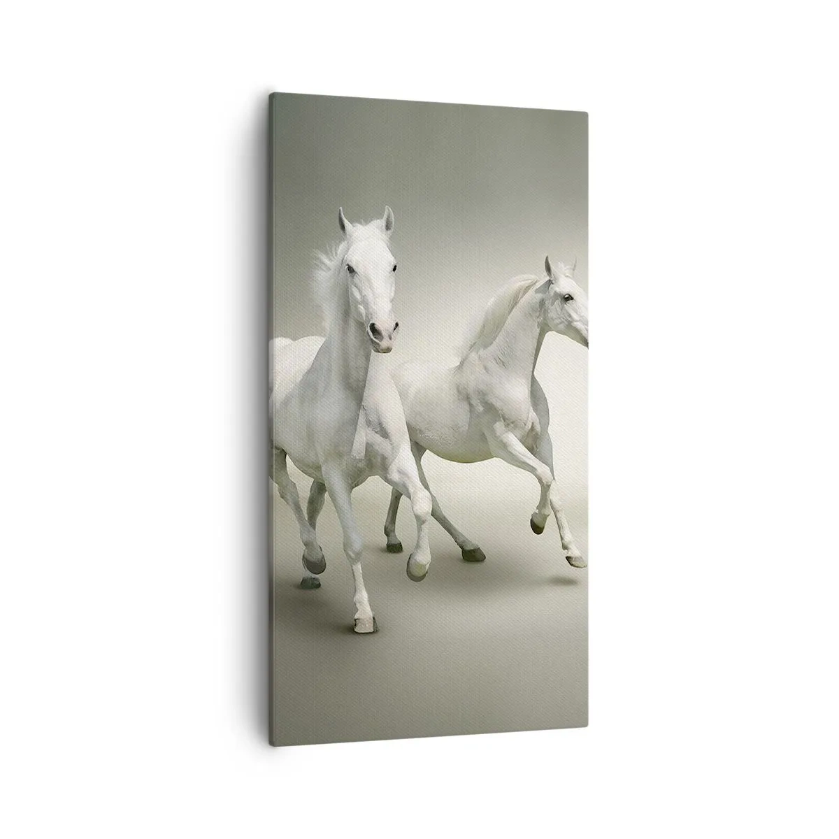 Impression sur toile - Image sur toile - White power! - 55x100 cm