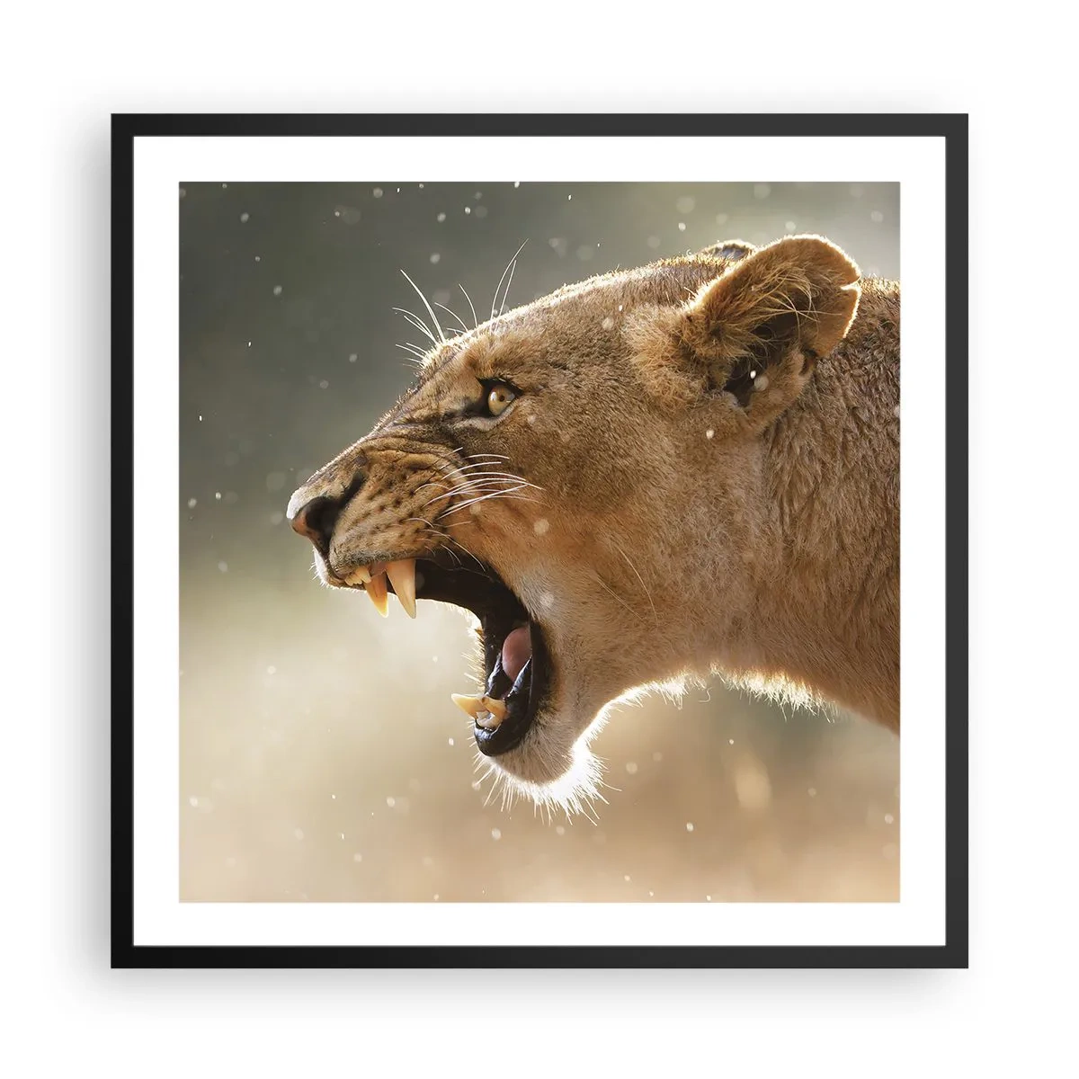 Affiche dans un cadre noir - Poster - Essayez de ne pas écouter - 60x60 cm