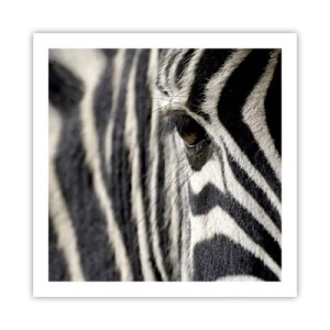 Affiche - Poster - Portrait en rayure - 60x60 cm