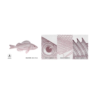 Échantillon de Papier Peint Premium Canvas - Poisson aux grands yeux - Poisson, Sous-marin, Minimaliste - 100x30 cm